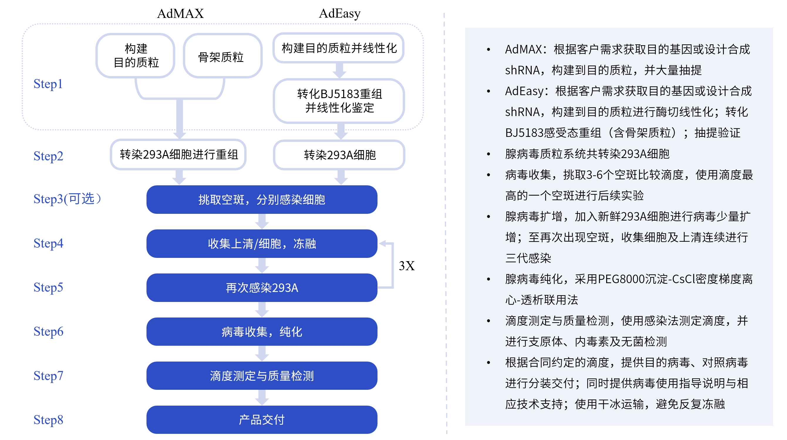 腺病毒包装服务流程