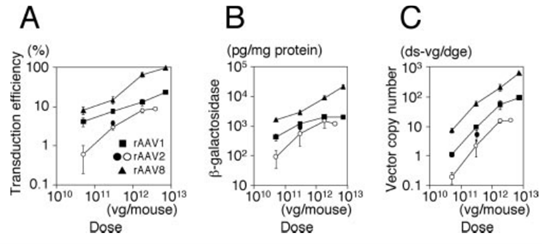 AAV8感染效果对比