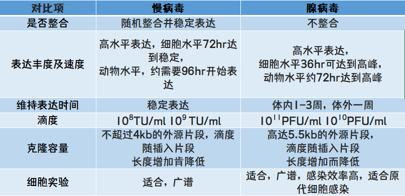 慢病毒和腺病毒的差别