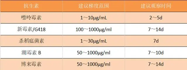 稳定细胞株的药物筛选盘点