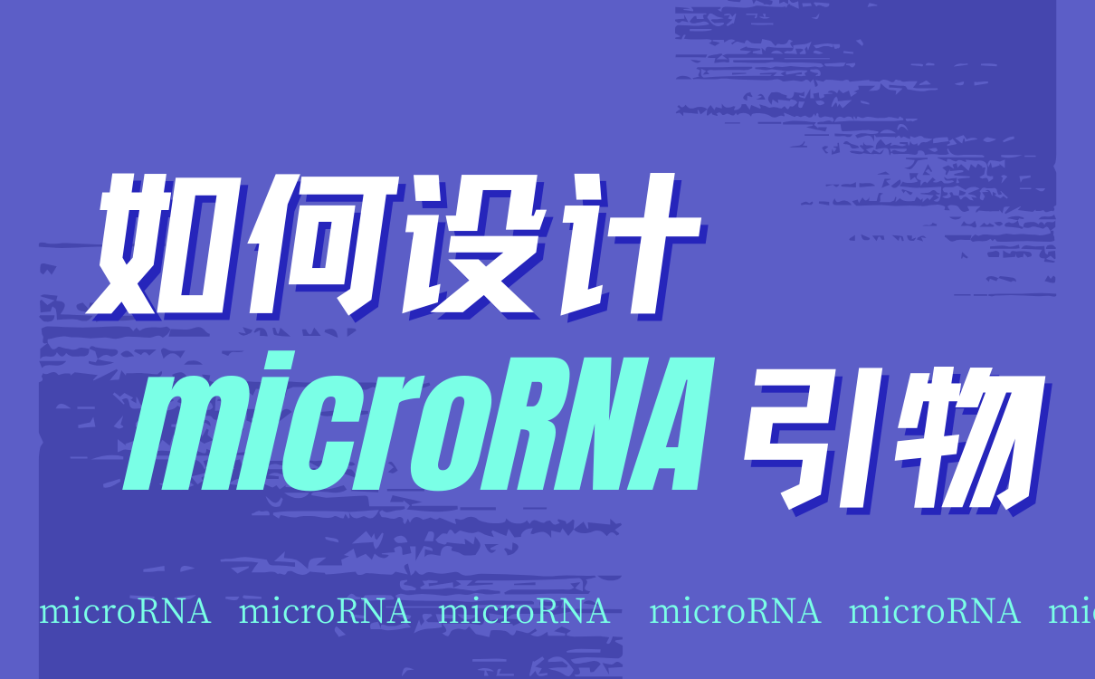 如何设计microRNA引物