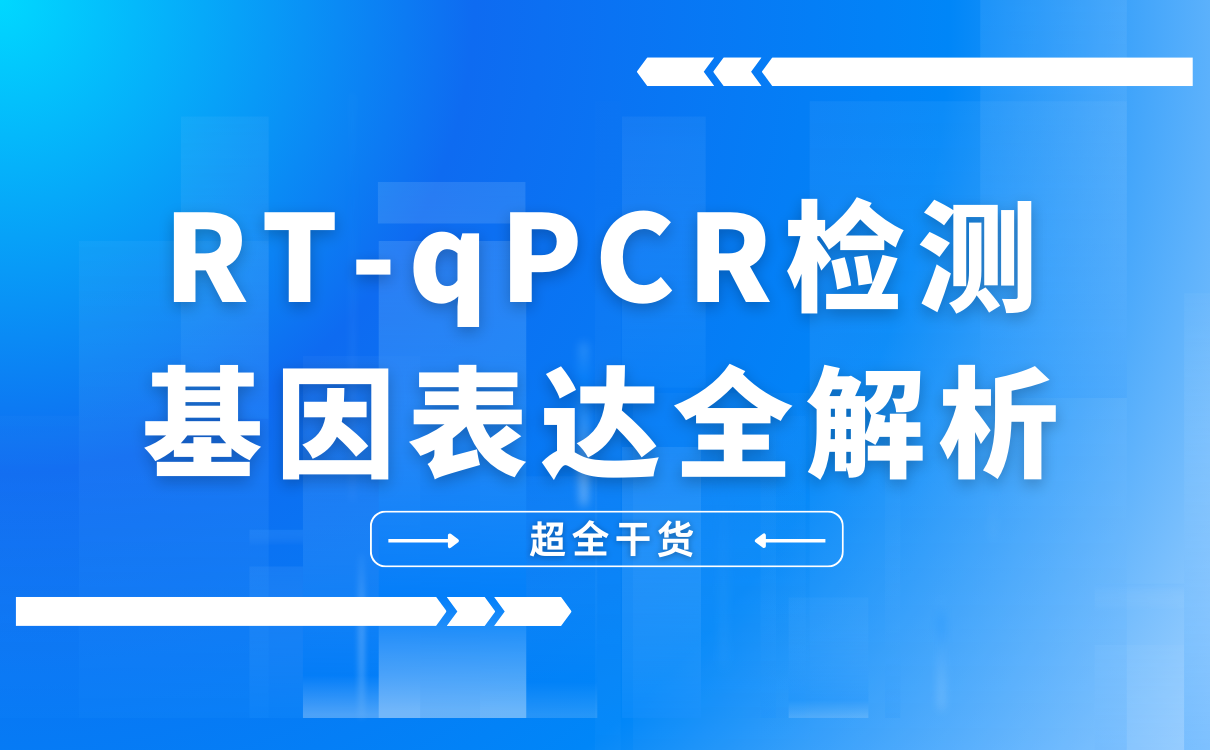 RT-qPCR检测基因表达全解析