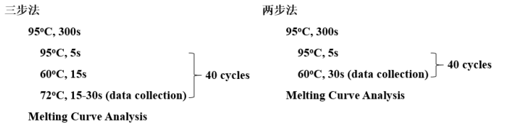 RT-qPCR检测基因表达全解析