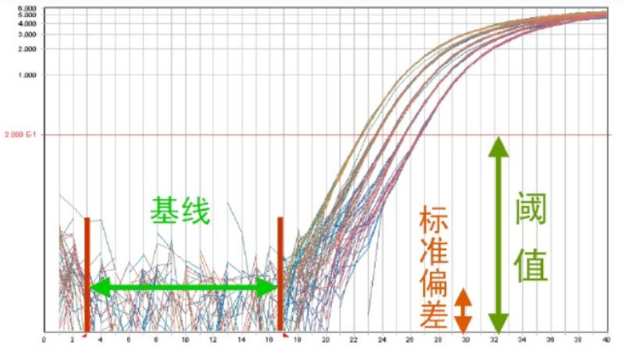 基线、标准偏差和荧光阈值示意图