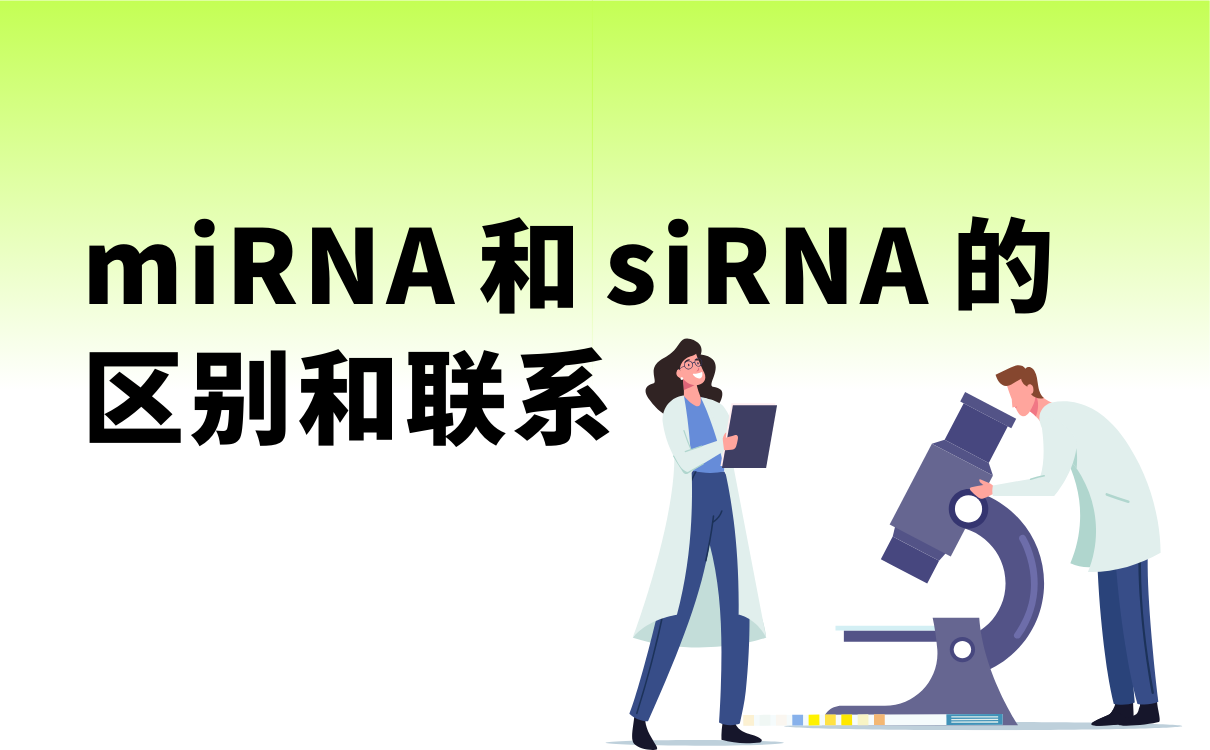 miRNA和siRNA的区别和联系