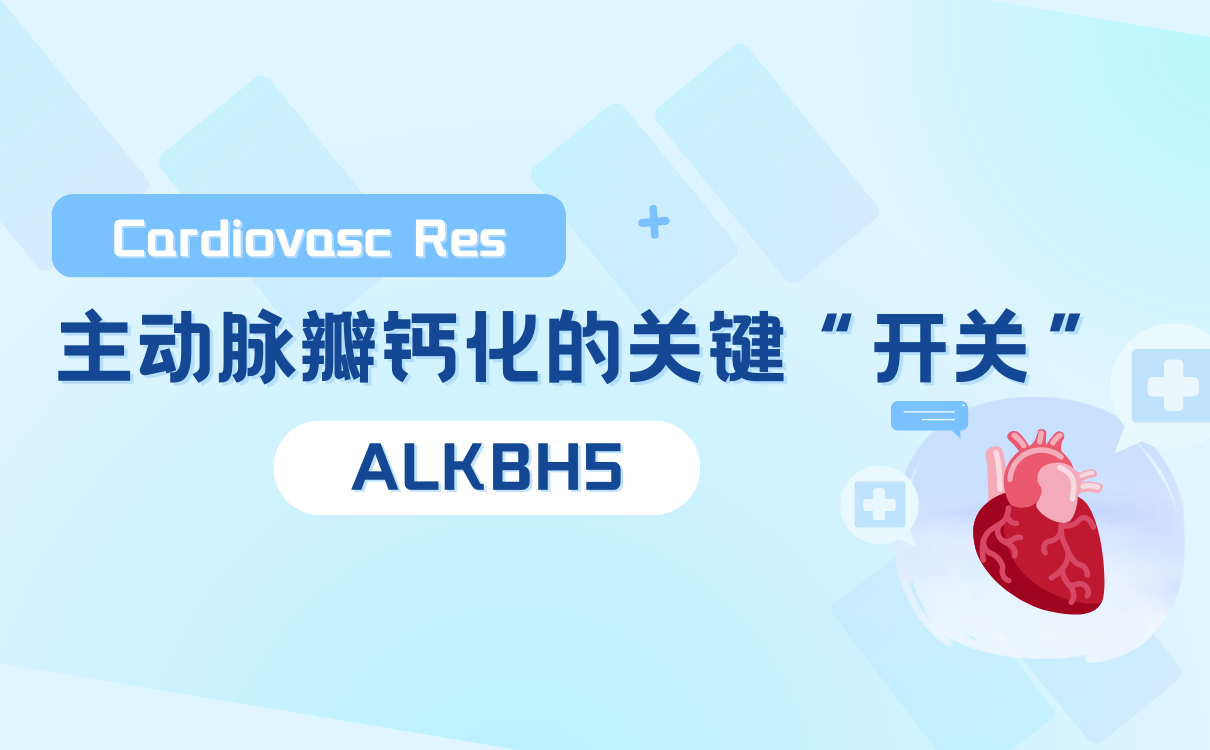 对图片的描述