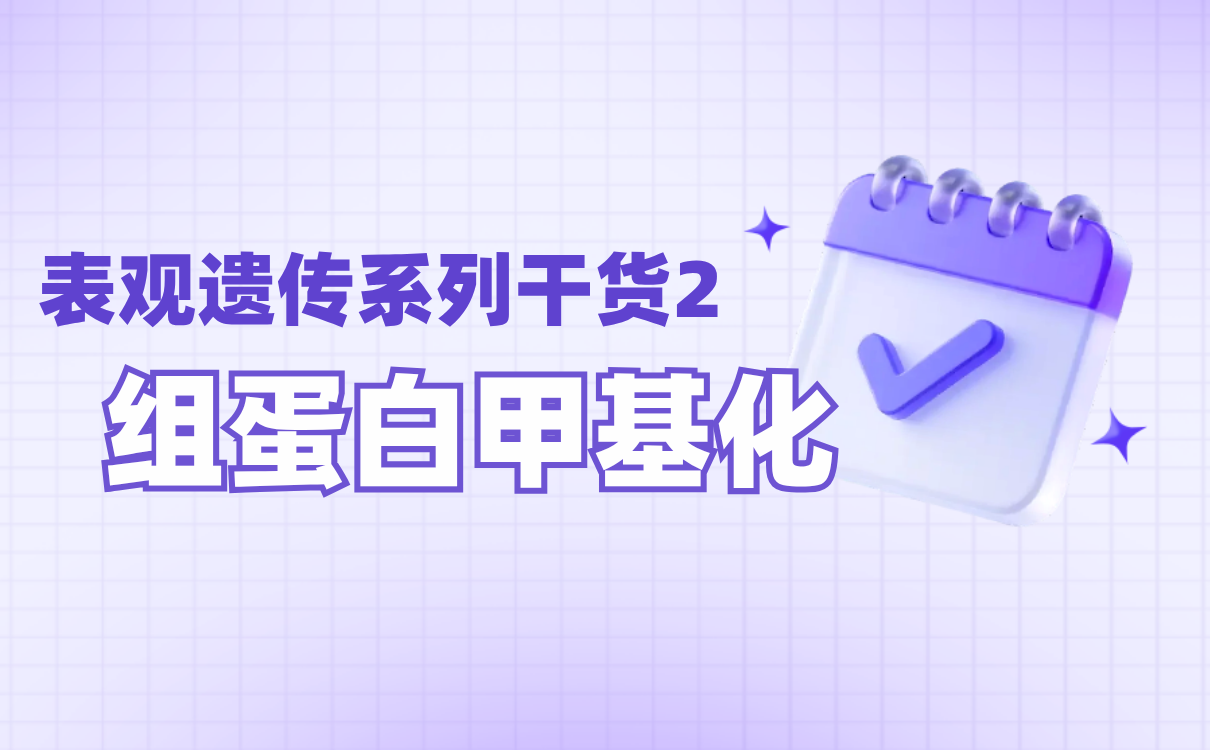 组蛋白甲基化