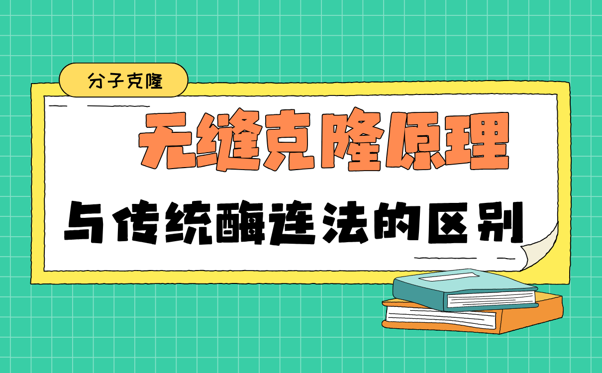 无缝克隆原理与传统酶连法的区别