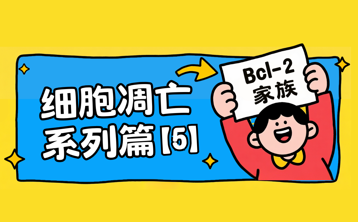 Bcl-2家族
