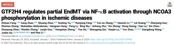 GTF2H4如何调控内皮细胞的部分间质化