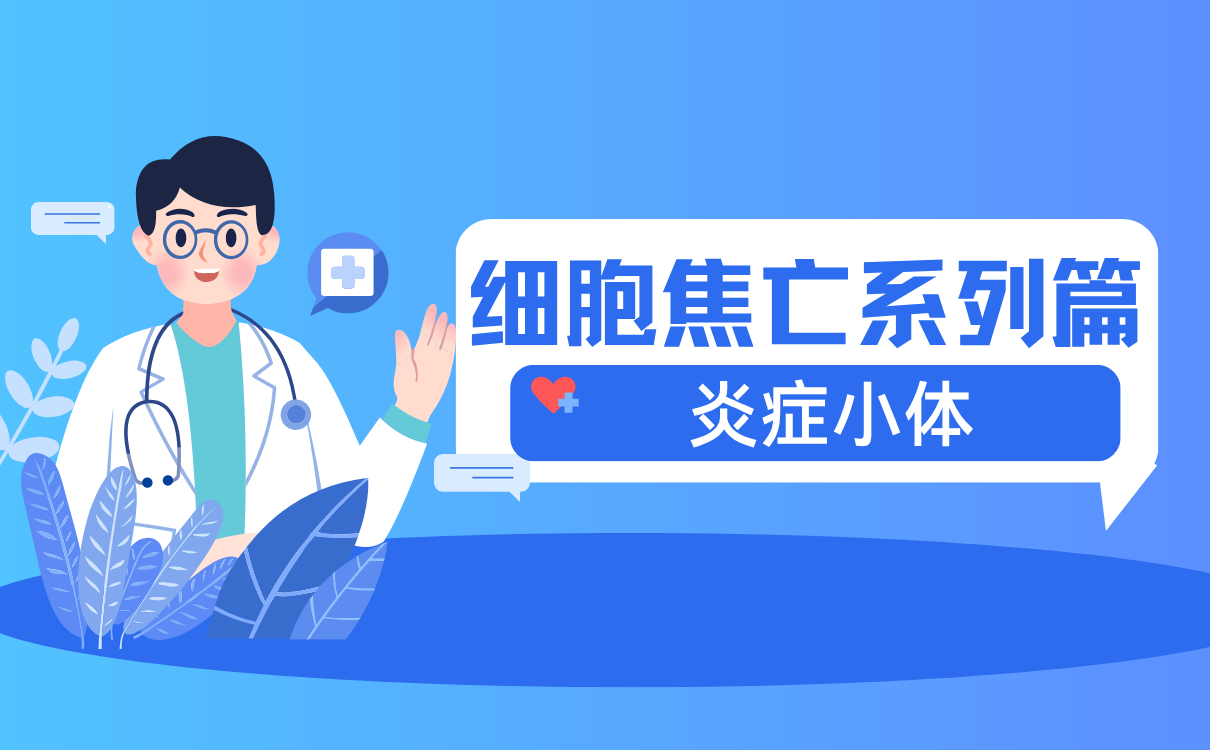 细胞焦亡炎症小体