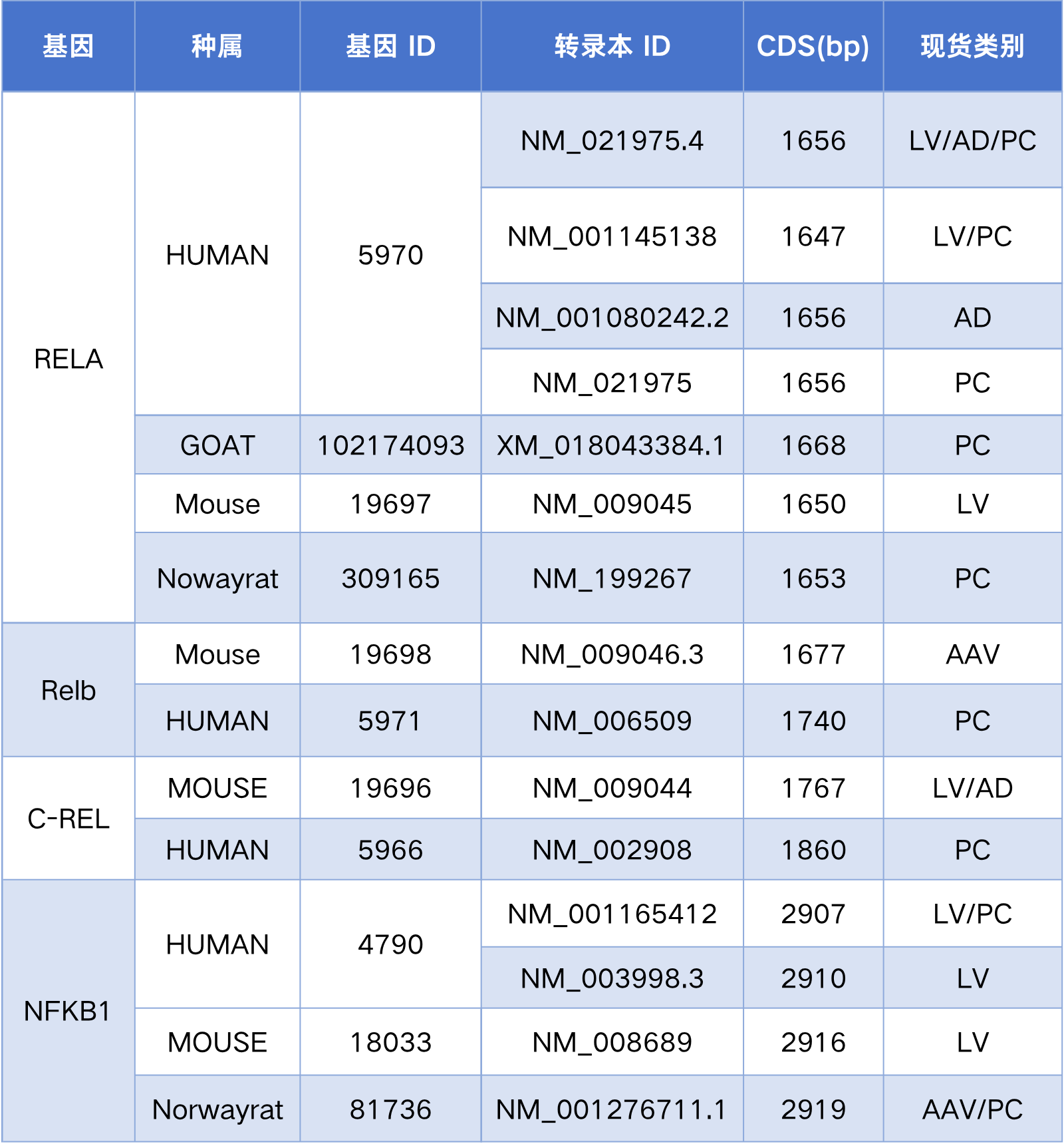 汉恒生物NF-κB相关产品现货