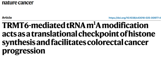 结直肠癌治疗的新视角