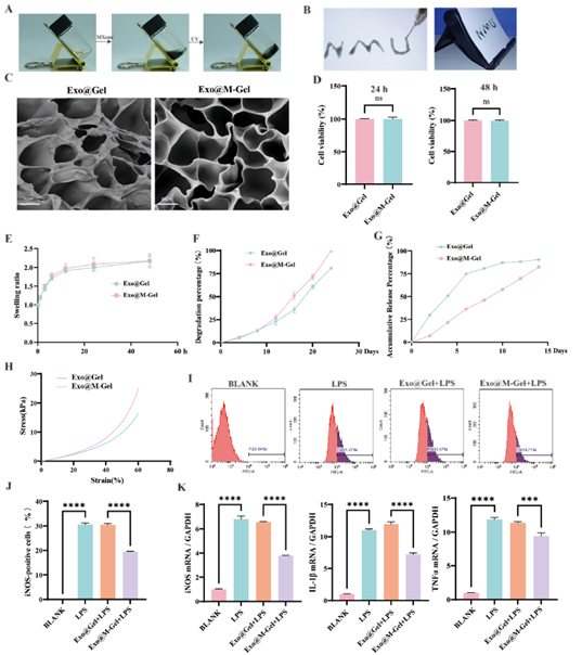 Exo@M-Gel水凝胶的制备与表征