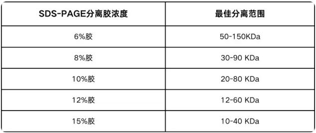 Western Blot检测蛋白表达实验步骤