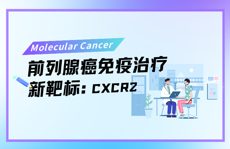 纳米材料的手性如何决定神经修复的命运