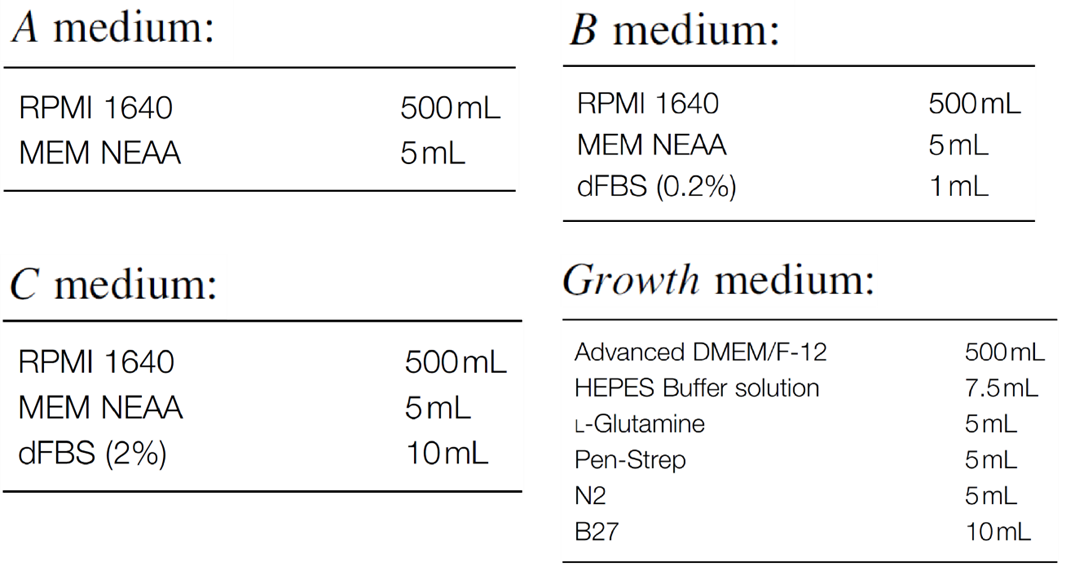 hPSC/ESC来源的食管类器官的不同培养基成分