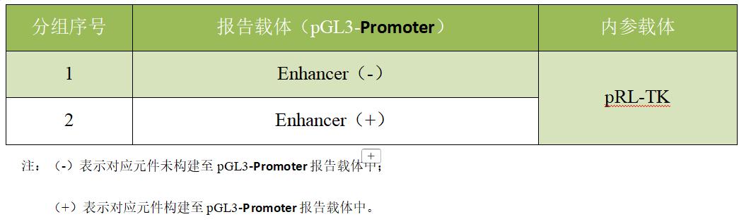 增强子活性验证的双荧光素酶实验分组