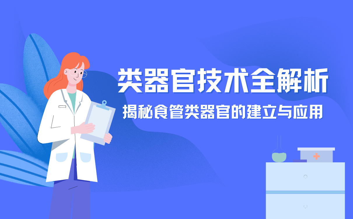 揭秘食管类器官的建立与应用