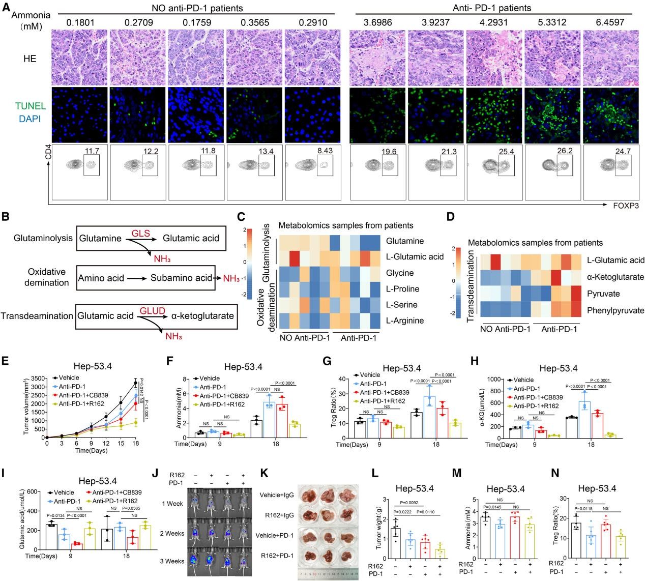 抗PD-1疗法诱导的细胞死亡所产生的氨会增加Treg的数量并导致免疫治疗耐药