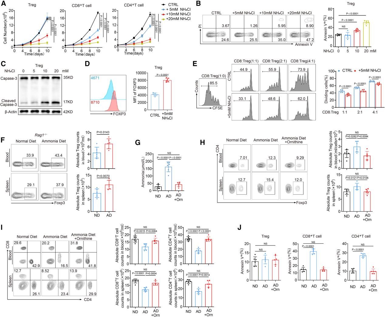 Treg能够抵抗氨诱导的细胞凋亡