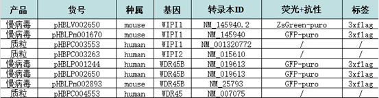 汉恒生物WIPI家族基因现货