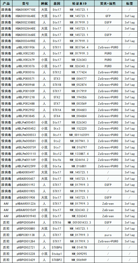 汉恒生物STX家族基因现货
