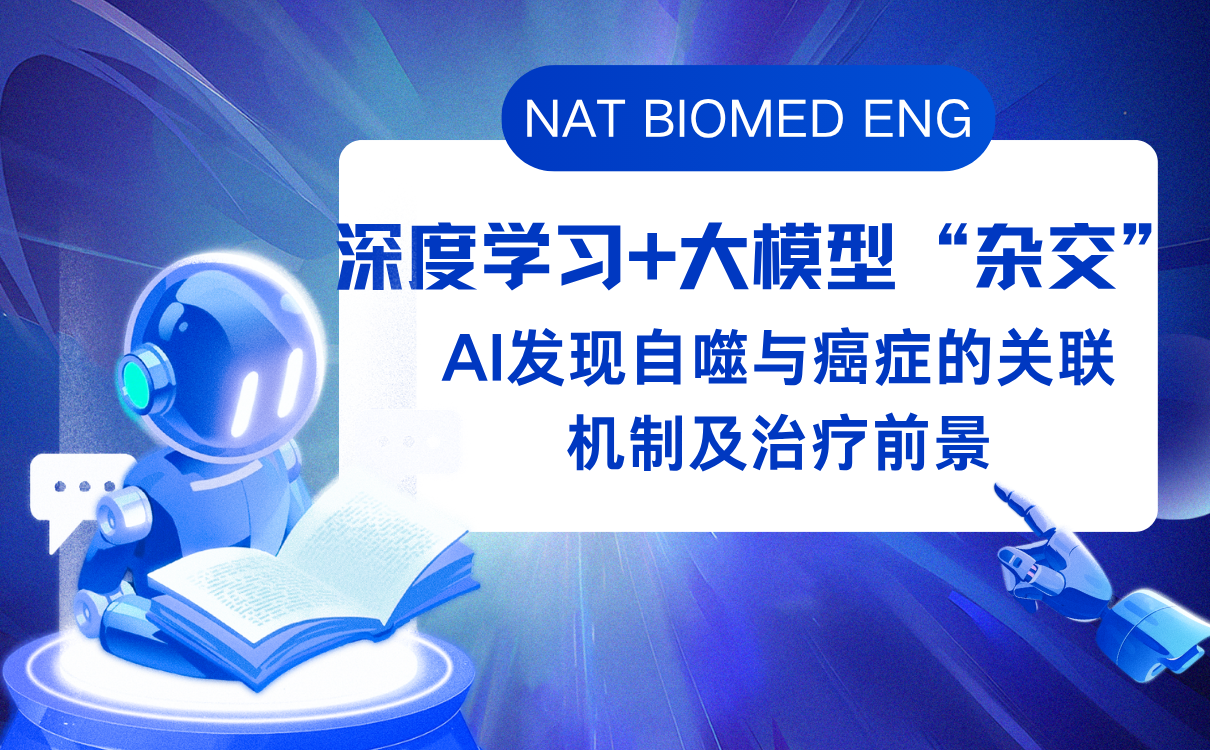 用AI发现自噬与癌症的关联机制及治疗前景