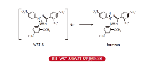 cck8试剂盒原理