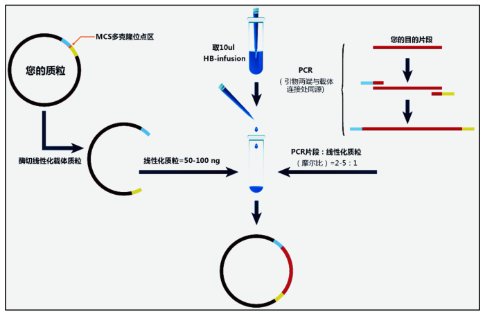 无缝克隆技术原理